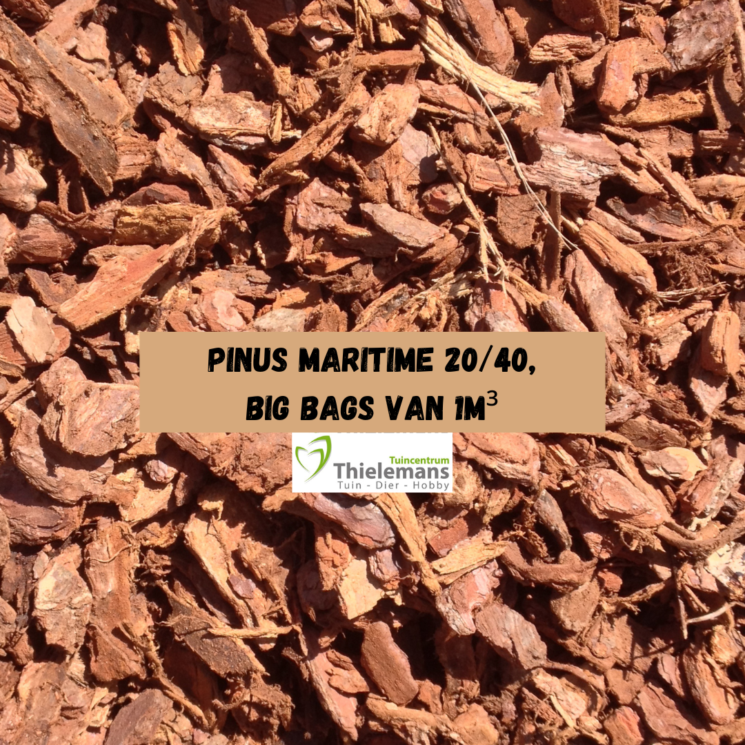 Afbeelding van Pinus maritime 20/40, big bags 1m³