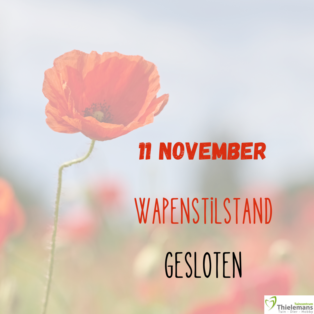 Wapenstilstand