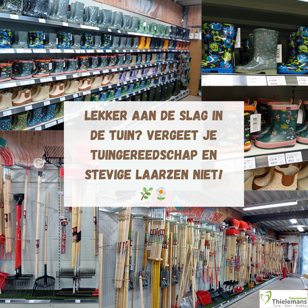 Werken in de moestuin